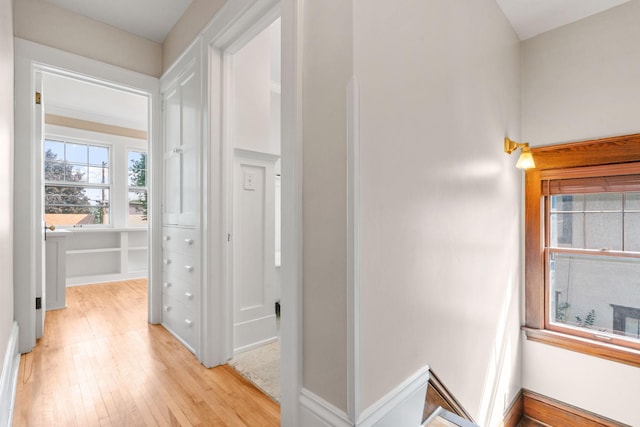 hallway with light hardwood / wood-style floors and a wealth of natural light