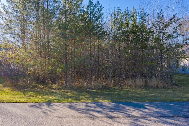 L6, B1 Meadow Ct, Baxter, MN 56425 - photo 5