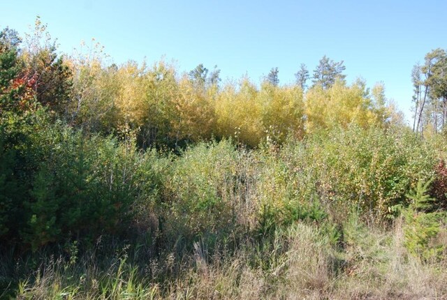 L11, B1 Meadow Ct, Baxter, MN 56425