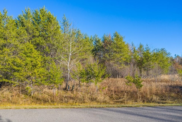 L11, B1 Meadow Ct, Baxter, MN 56425