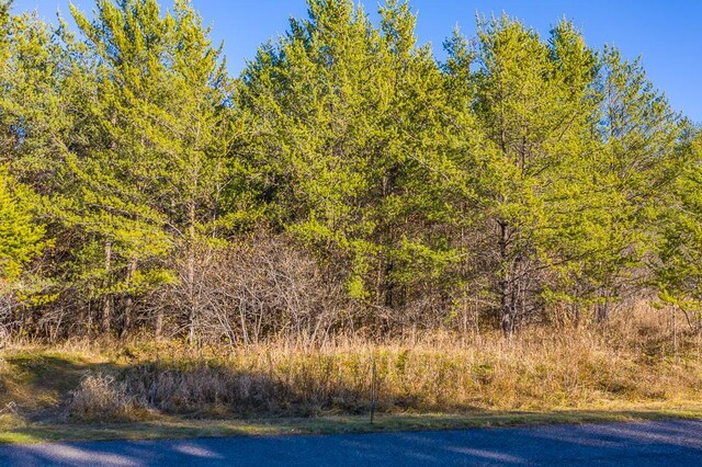 L12, B1 Meadow Ct, Baxter, MN 56425