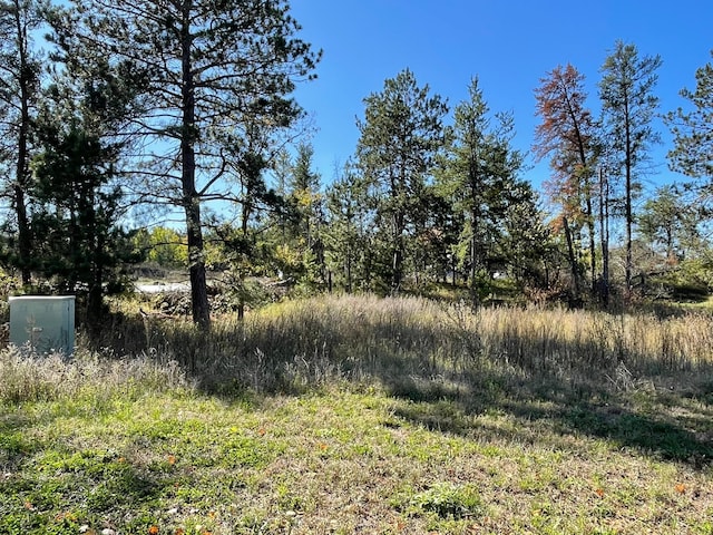 view of local wilderness