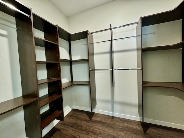 walk in closet with dark hardwood / wood-style floors