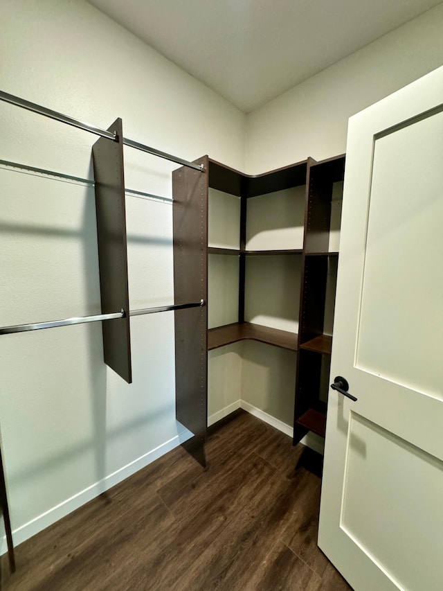 walk in closet featuring dark wood-type flooring