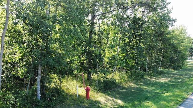 Listing photo 3 for LOT2BLOCK1 Lynndale Dr N, Baxter MN 56425