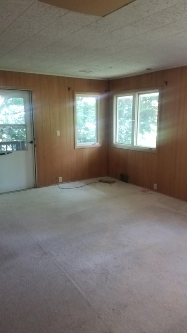 carpeted spare room featuring wood walls and plenty of natural light