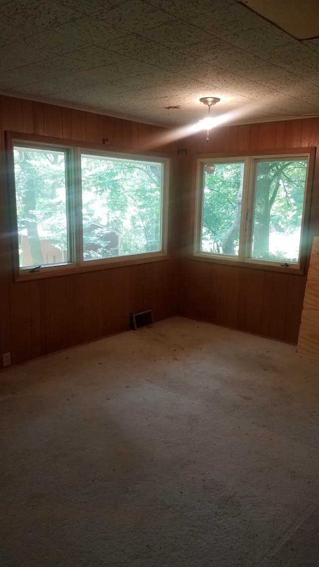 carpeted spare room featuring wooden walls