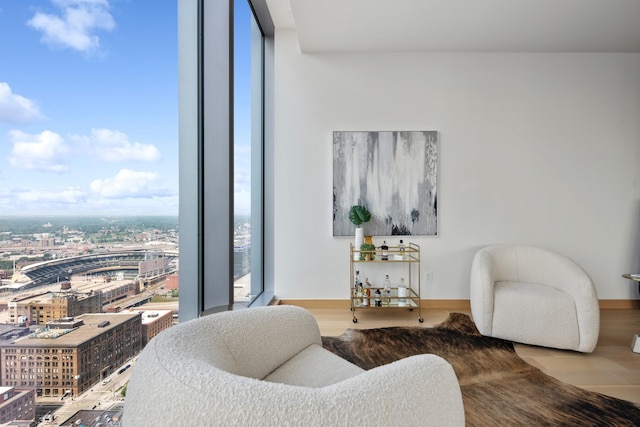 living room with hardwood / wood-style floors