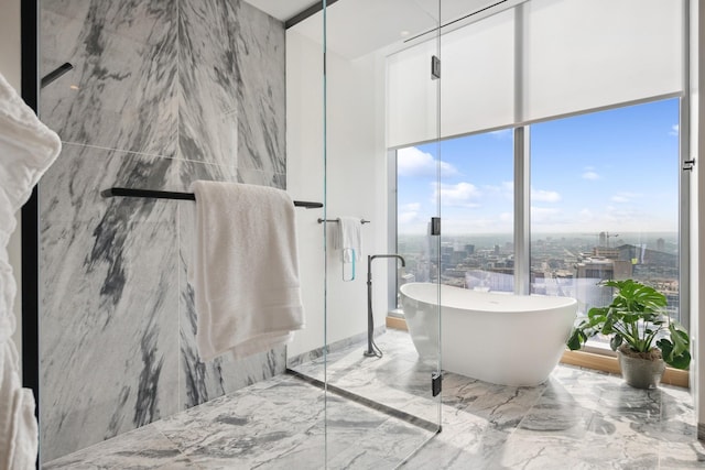 bathroom with a tub and a wall of windows