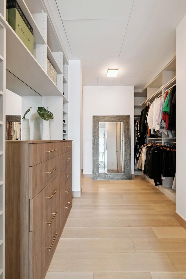 spacious closet featuring light hardwood / wood-style floors