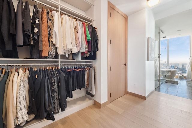 view of closet