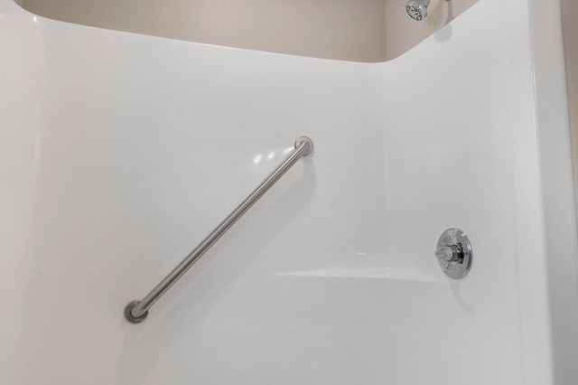 interior details featuring walk in shower