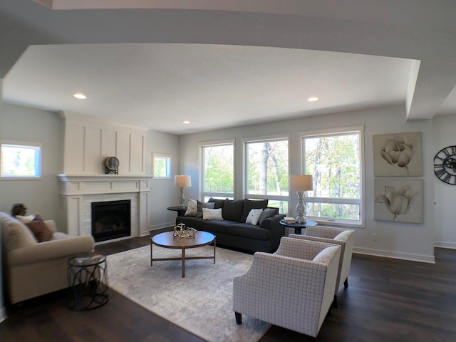 living room with dark hardwood / wood-style floors