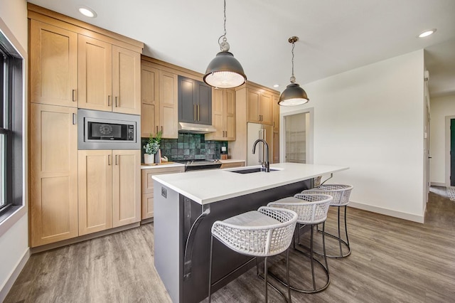 kitchen featuring a kitchen island with sink, appliances with stainless steel finishes, light hardwood / wood-style floors, sink, and tasteful backsplash