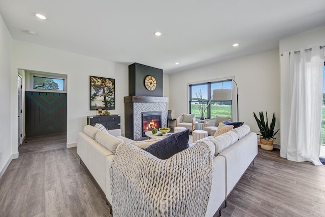 living room featuring dark wood-type flooring and a fireplace