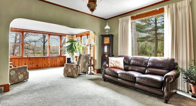 living room with carpet flooring and crown molding