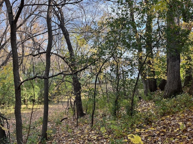 view of local wilderness