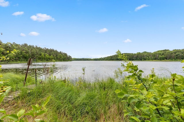 property view of water