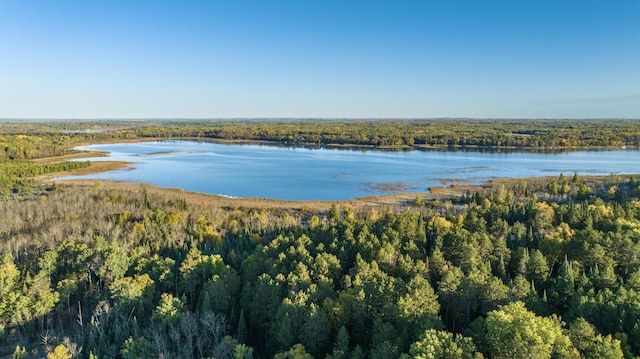13895 Gazelle Trl, Park Rapids, MN 56470