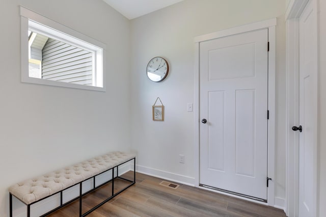 foyer entrance featuring wood-type flooring