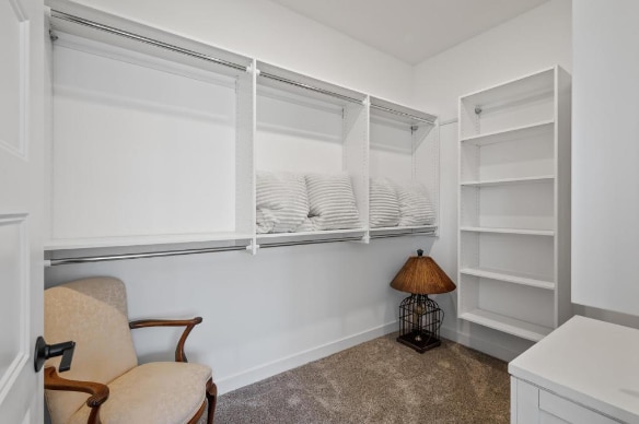 walk in closet with carpet floors