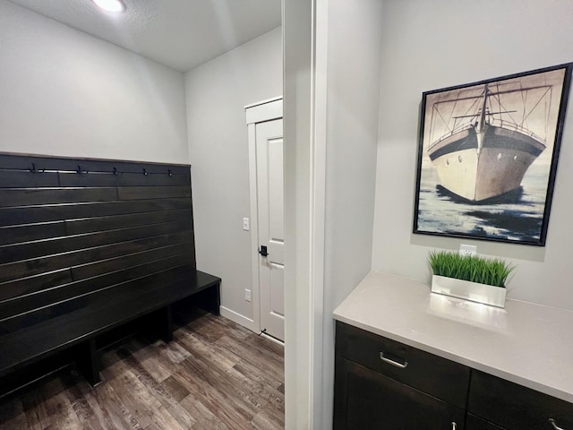 mudroom with dark wood-type flooring