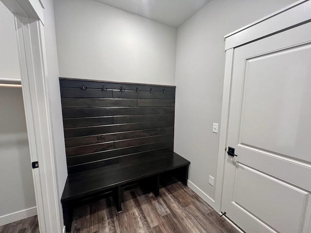 mudroom featuring dark wood-type flooring