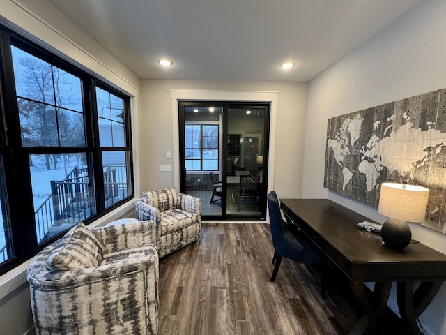 office space featuring dark hardwood / wood-style floors