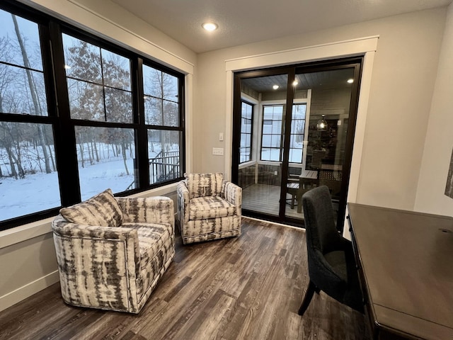 sitting room featuring dark hardwood / wood-style flooring