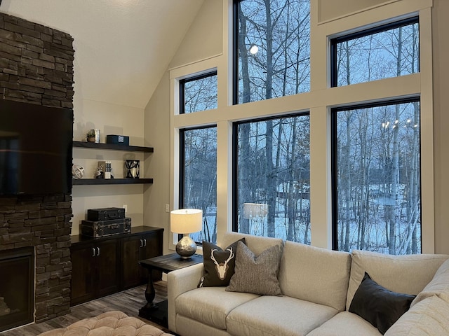 living room with dark hardwood / wood-style flooring, a stone fireplace, and plenty of natural light