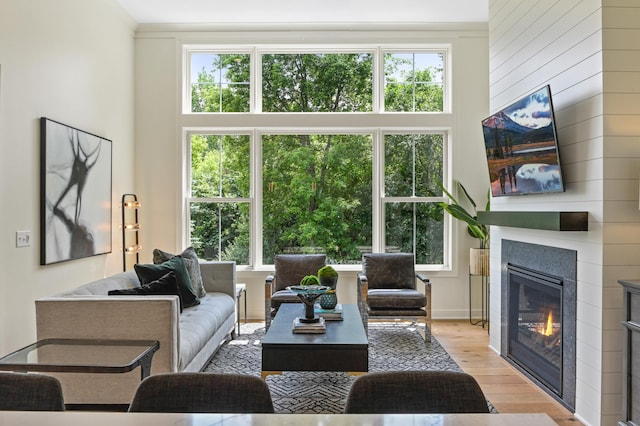 living room with a high ceiling, a large fireplace, and light hardwood / wood-style flooring