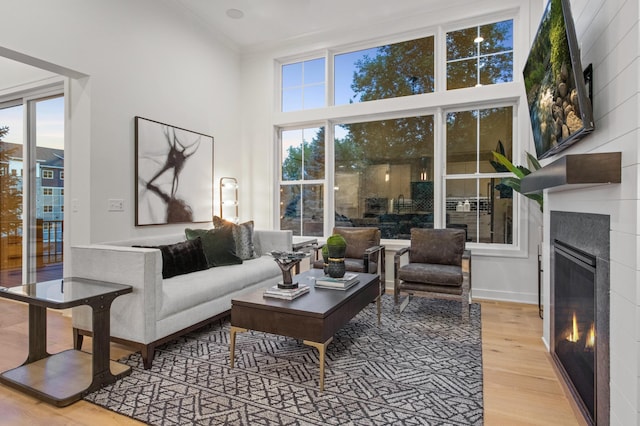 living room featuring ornamental molding, plenty of natural light, a fireplace, and light hardwood / wood-style flooring