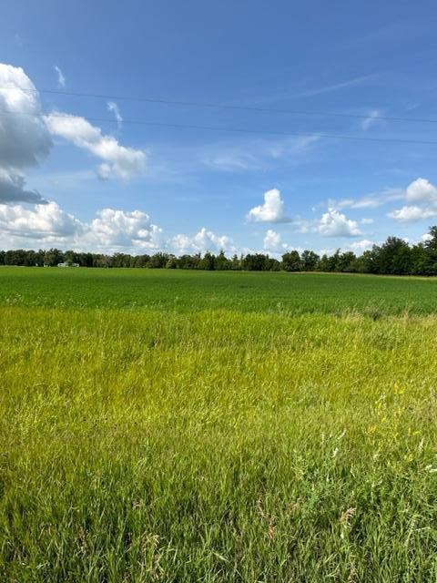 TBD Sorteberg Dr, Rocksbury Twp MN, 56701 land for sale