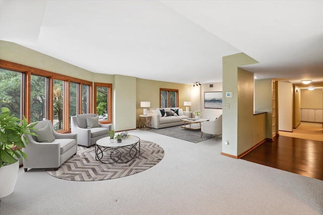 living room featuring hardwood / wood-style floors