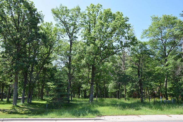 TBD Power Dam Rd NE, Bemidji, MN 56601 - photo 1