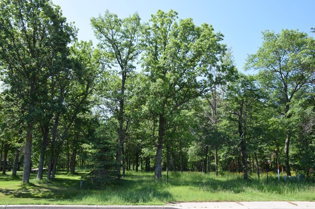 TBD Power Dam Rd NE, Bemidji, MN 56601 - photo 2