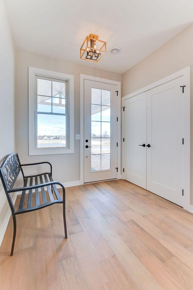 entryway featuring plenty of natural light, light hardwood / wood-style floors, and an inviting chandelier