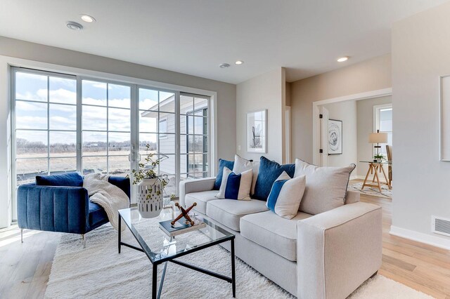 living room with light hardwood / wood-style flooring