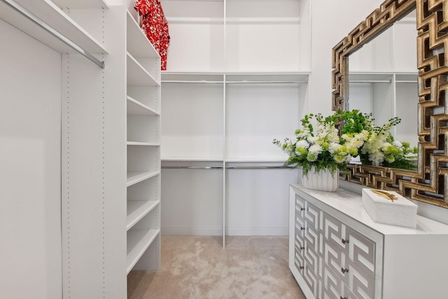 walk in closet with light colored carpet