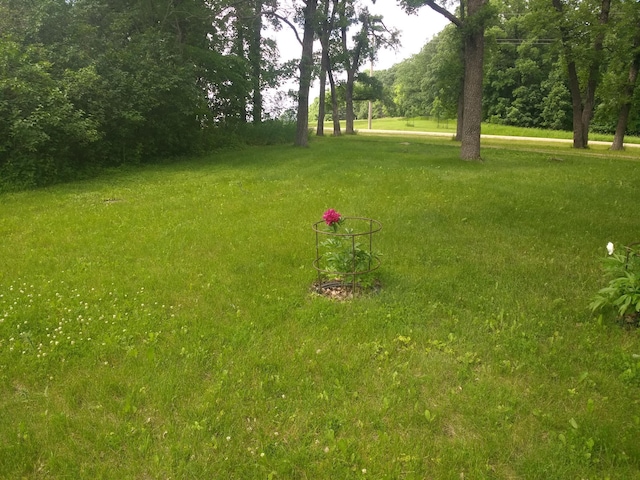 25427 260th St, Callaway, MN 56521 - view of yard