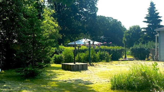 25427 260th St, Callaway, MN 56521 - view of yard