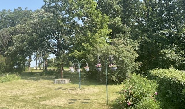 25427 260th St, Callaway, MN 56521 - view of yard