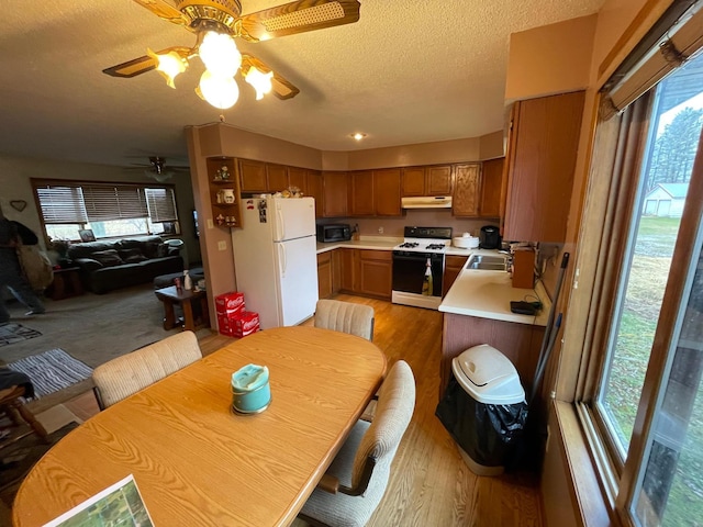 dining area with ceiling fan, sink, a textured ceiling, and light hardwood / wood-style flooring