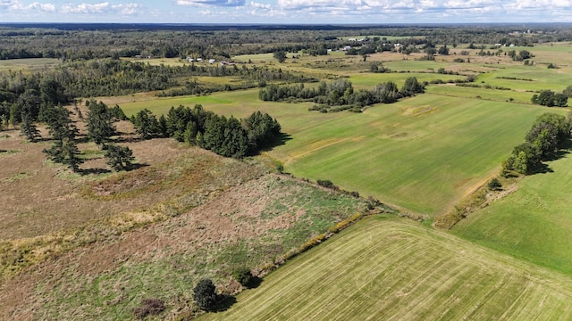 birds eye view of property featuring a rural view