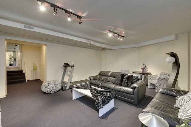 carpeted living room featuring rail lighting