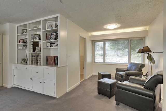 sitting room featuring light colored carpet and a textured ceiling