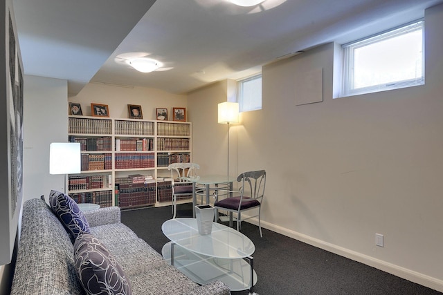 sitting room featuring carpet