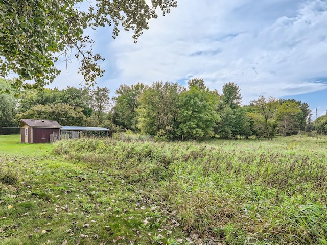 view of yard featuring a storage shed