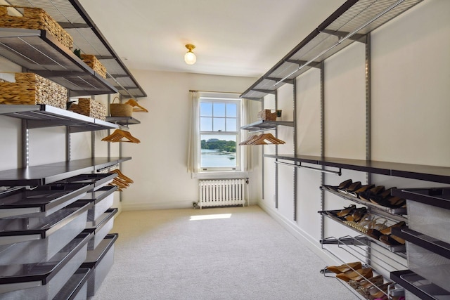 storage room featuring radiator