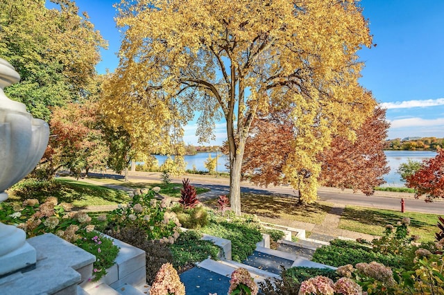 view of yard featuring a water view